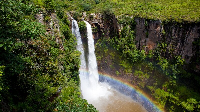 Waterfall with rainbow in forest