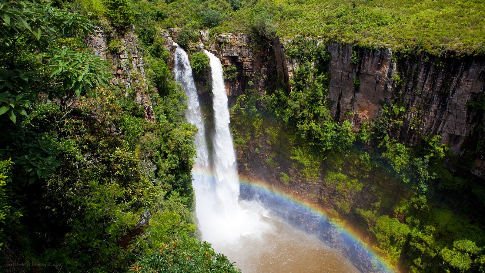 Waterfall with rainbow in forest