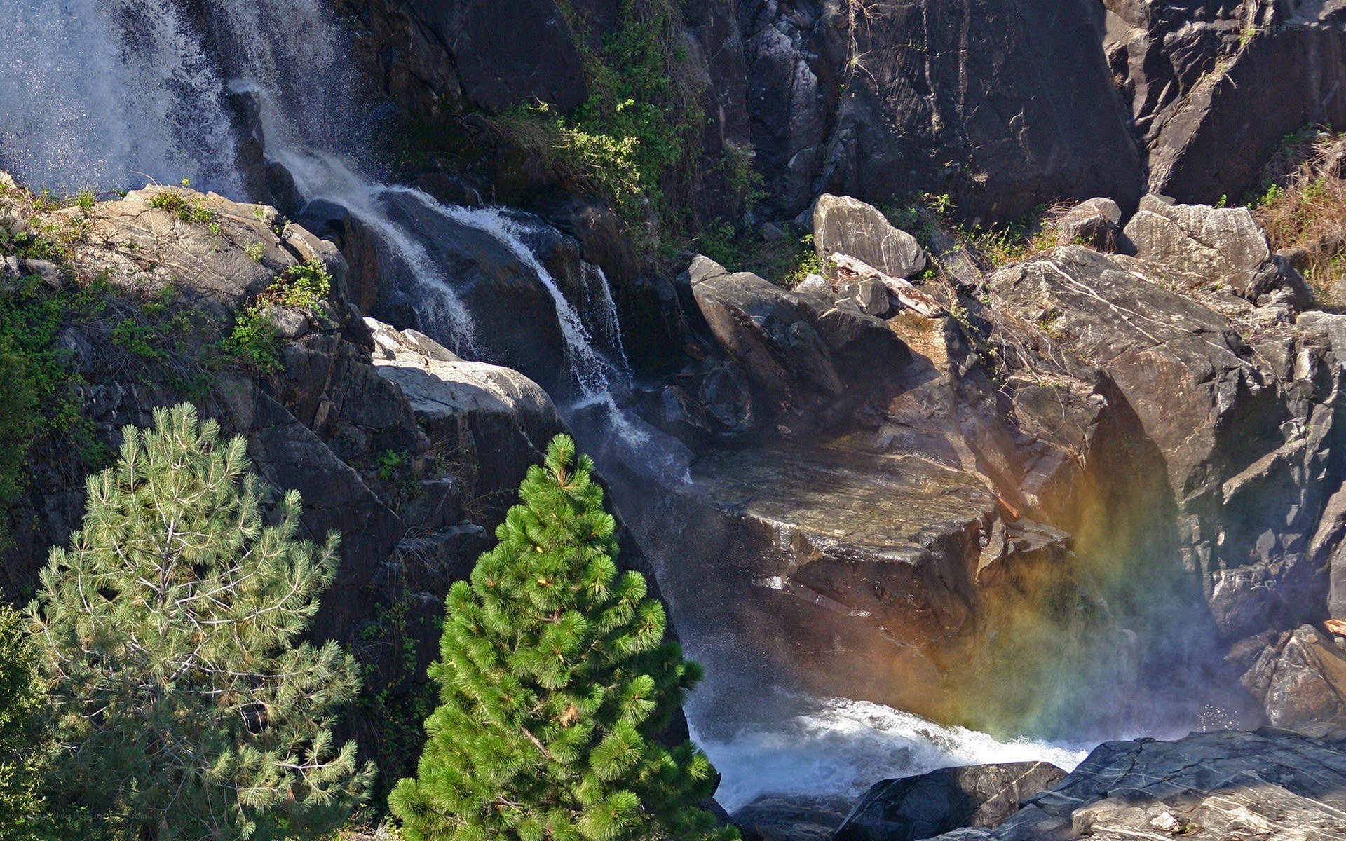 Waterfall with rainbow in forest