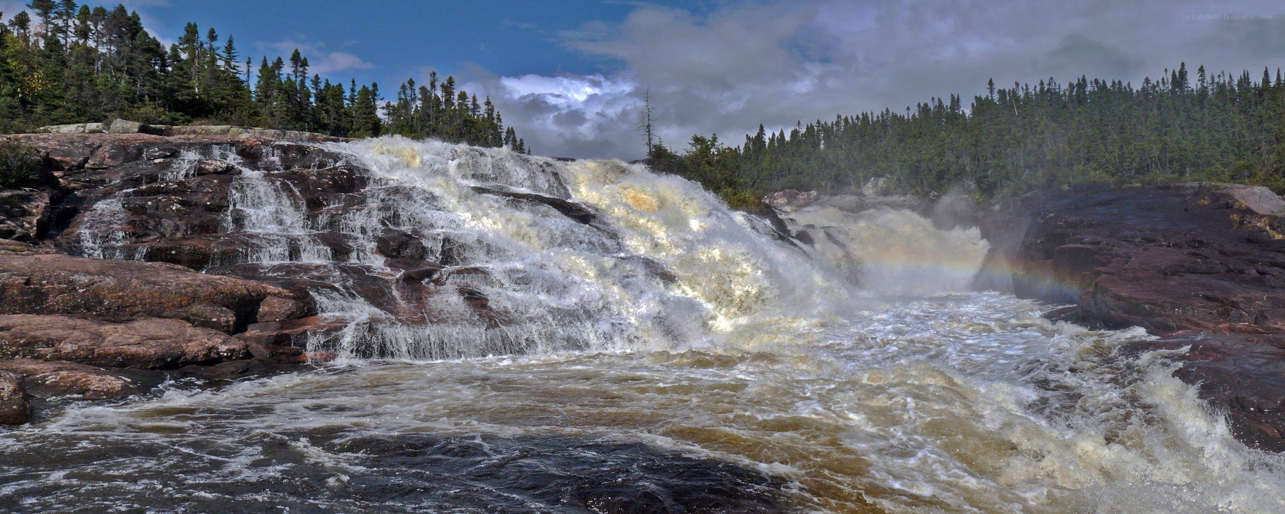 Waterfall with rainbow in forest