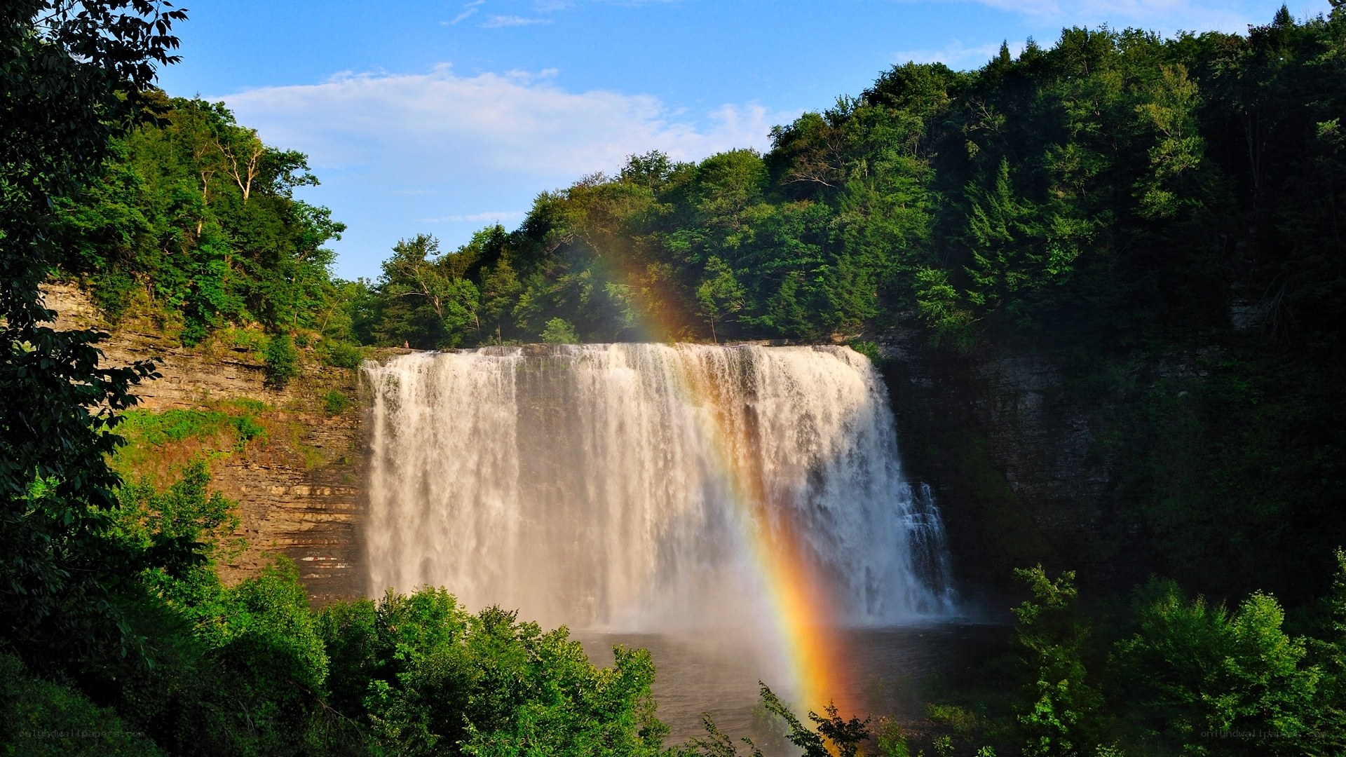 Waterfall with rainbow in forest