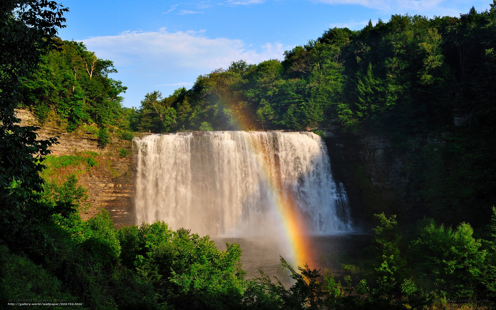 Waterfall with rainbow in forest