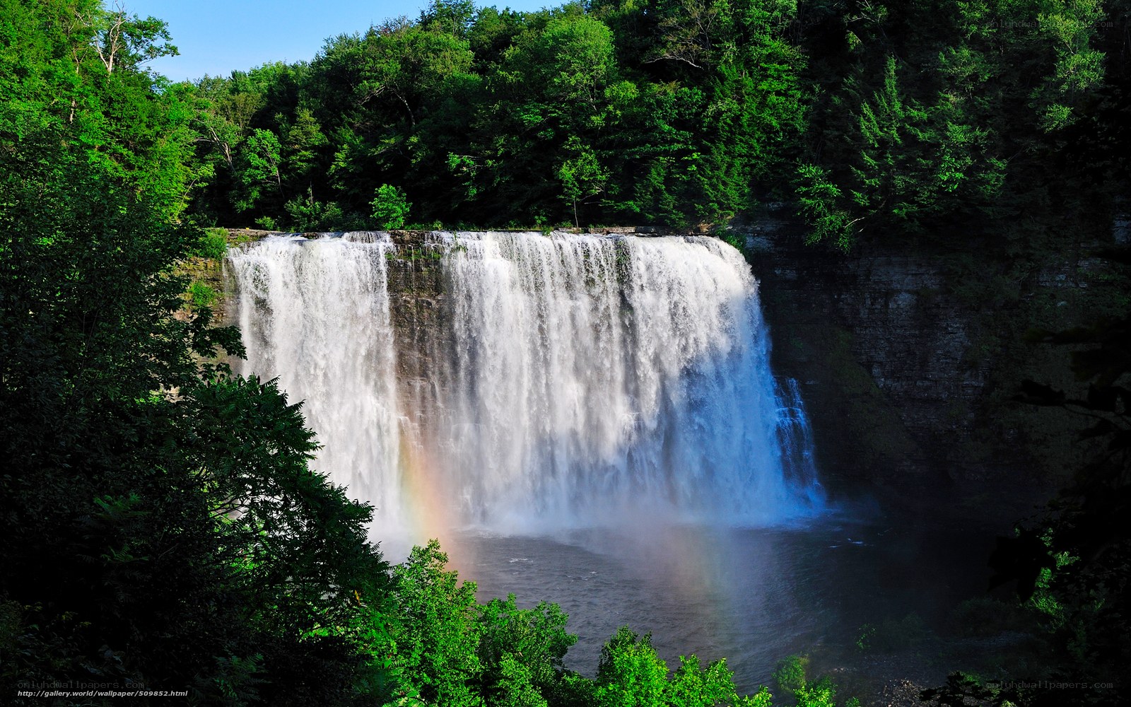 Waterfall with rainbow in forest