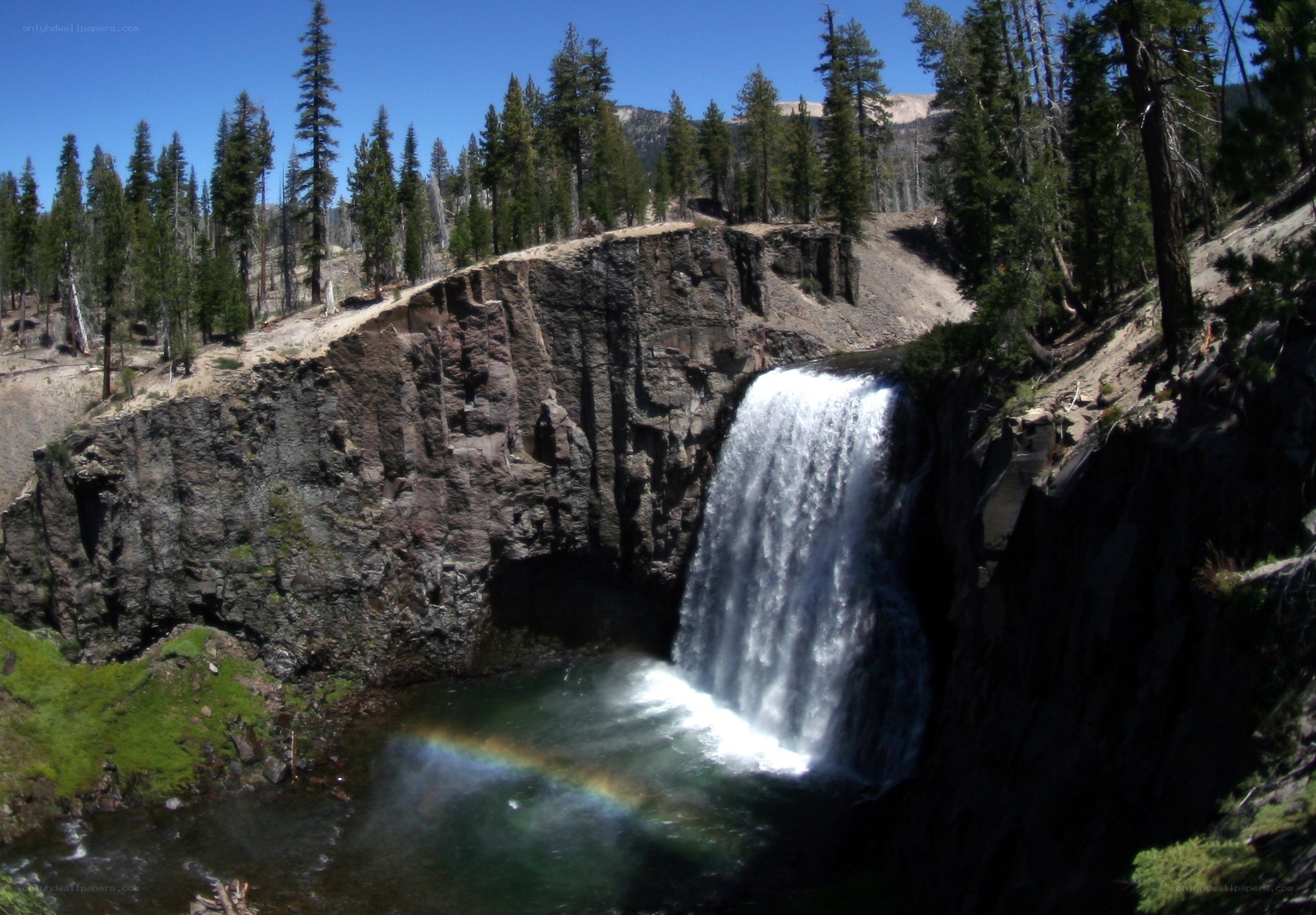 Waterfall with rainbow in forest