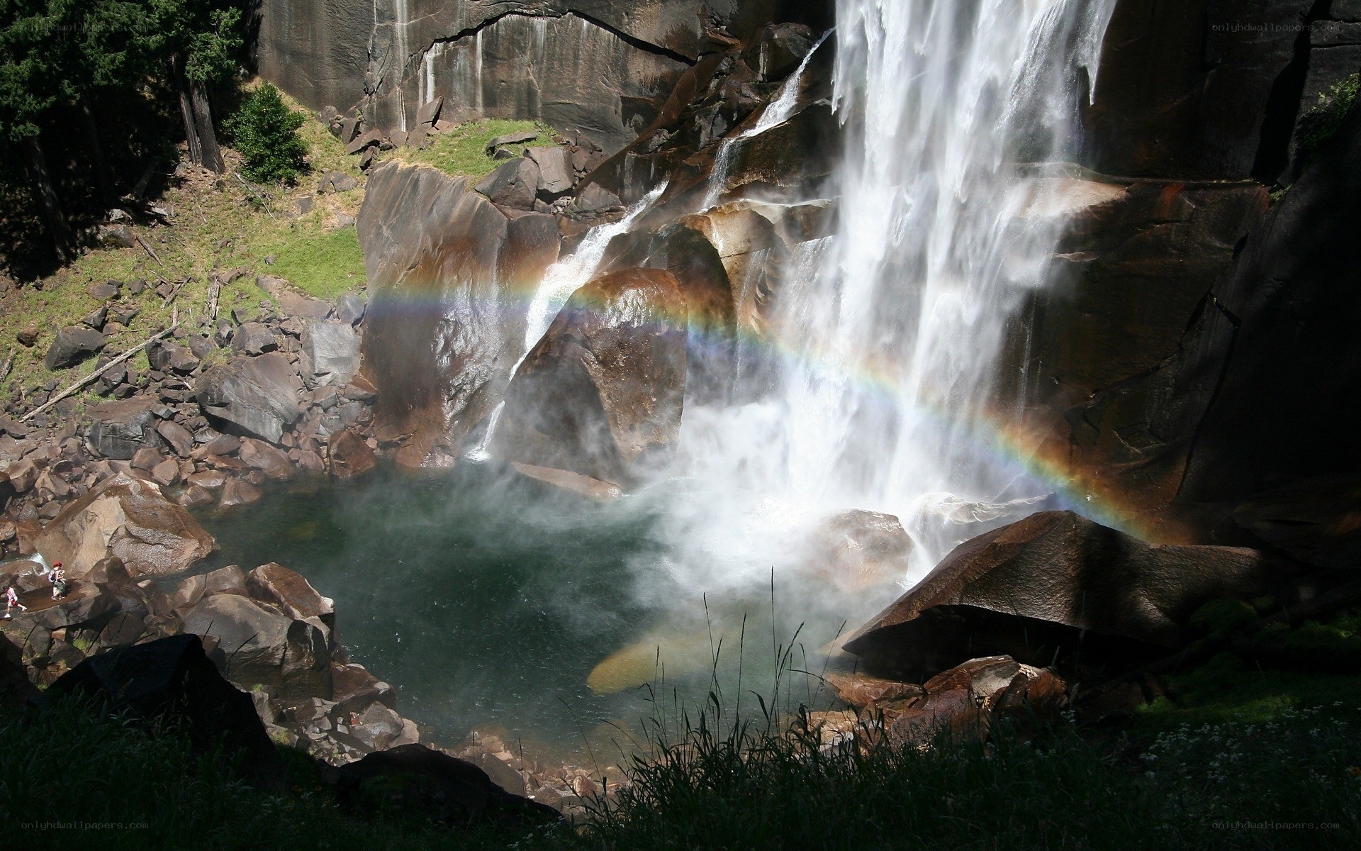 Waterfall with rainbow in forest