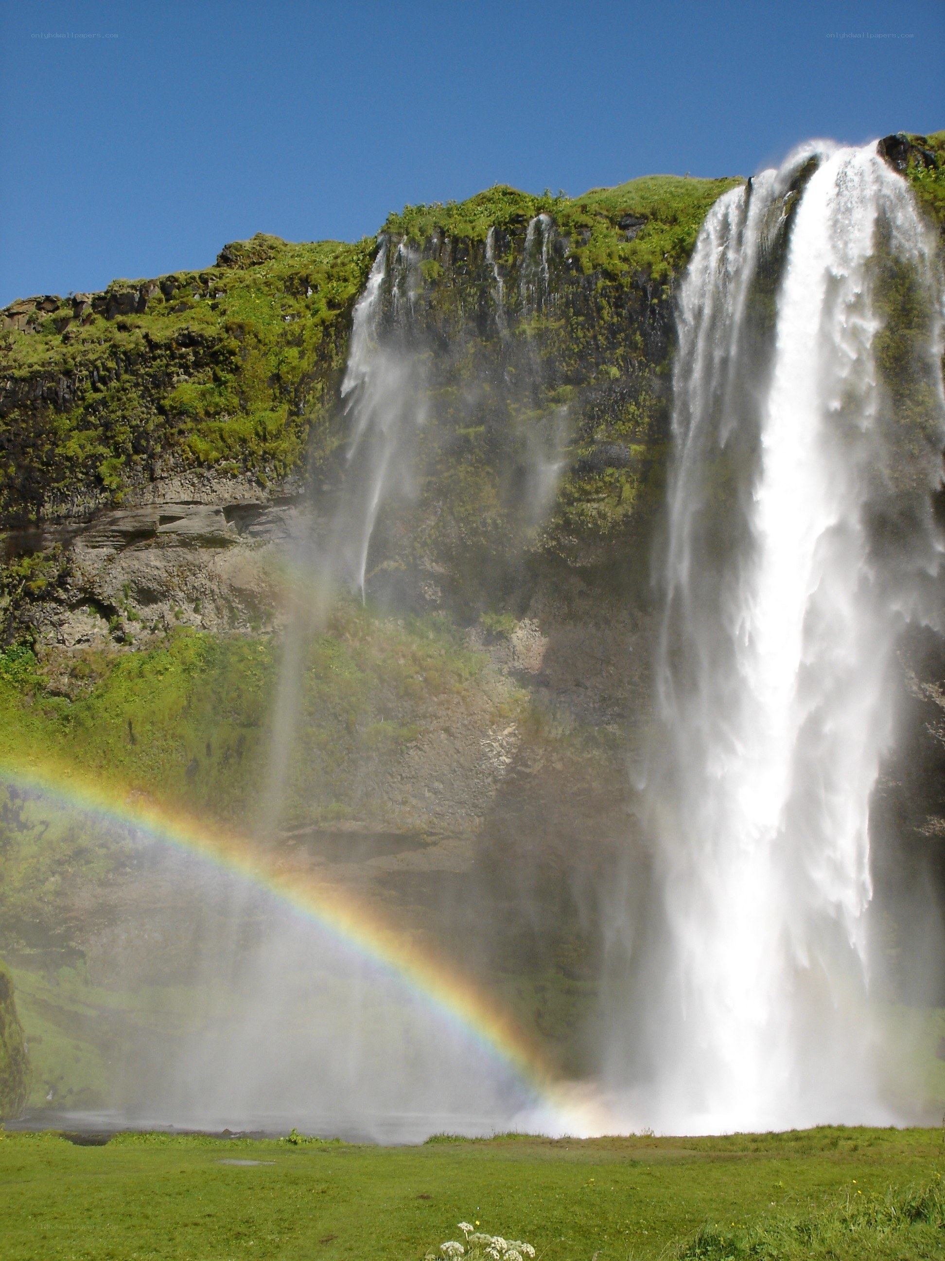 Waterfall with rainbow in Iceland