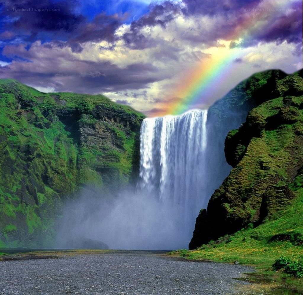 Waterfall with rainbow in Iceland