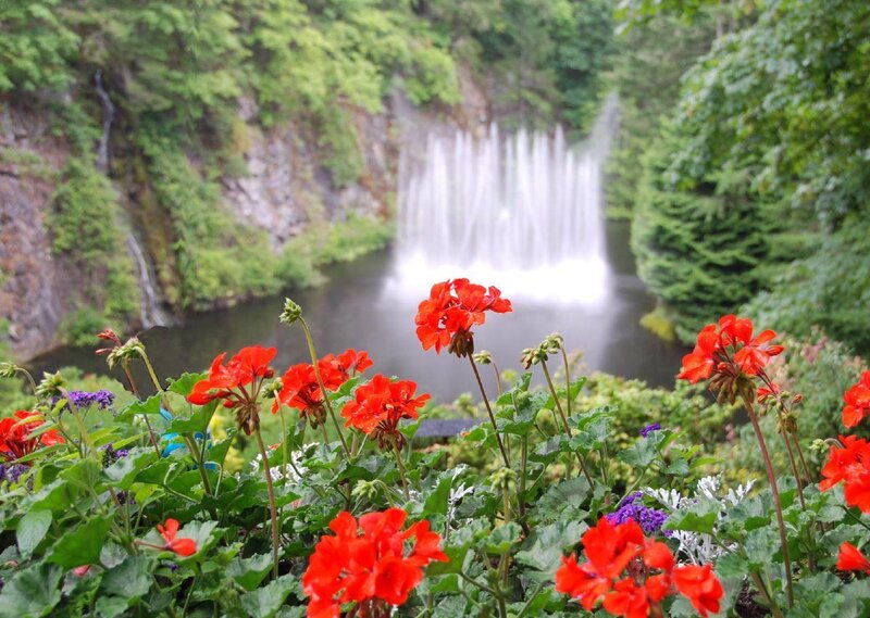 Waterfall with red flowers