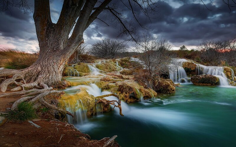 Waterfall with Tree Roots