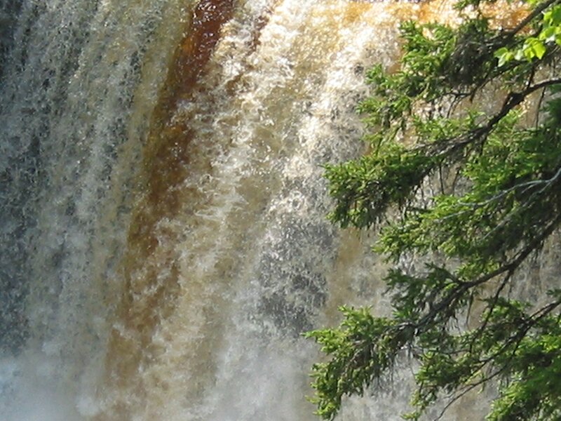 Waterfall with Tree