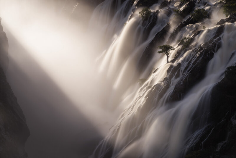 Waterfall with Tree — White