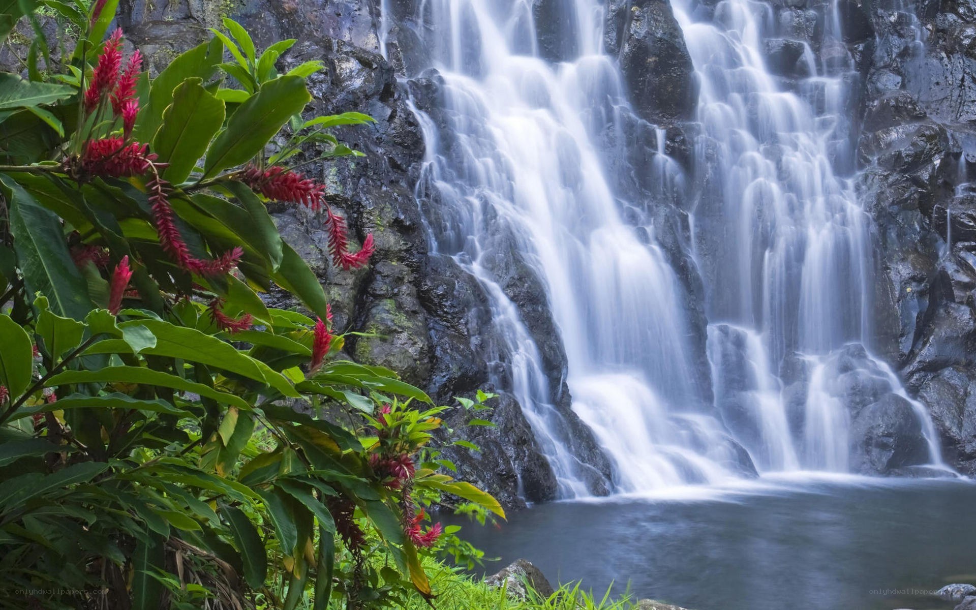 Waterfall with tropical flowers