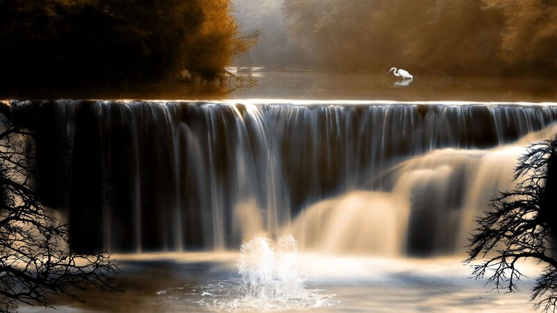 Waterfall with white heron