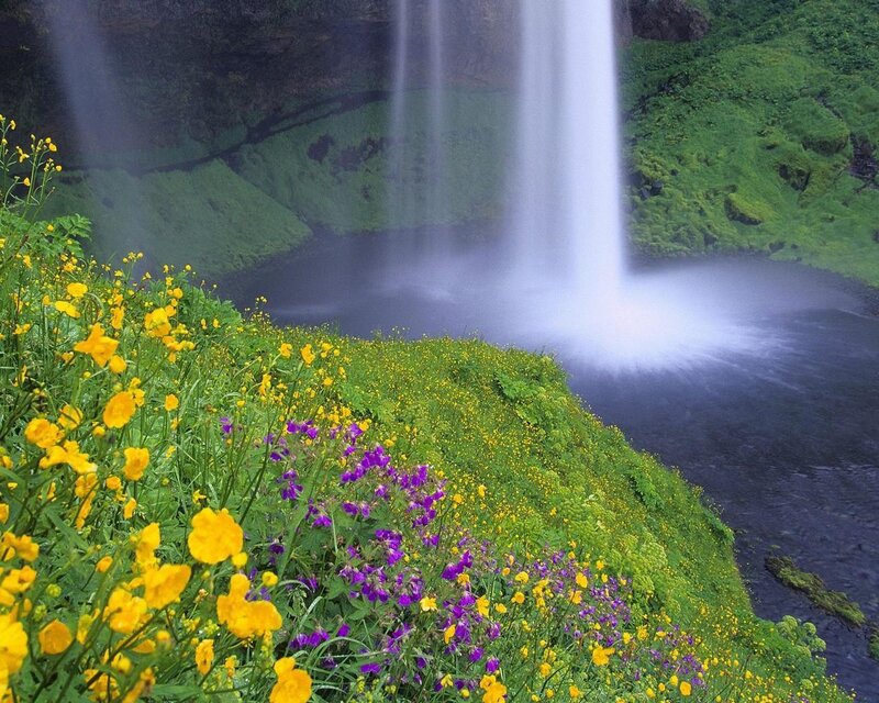 Waterfall with Wildflowers — Green, Serene, Spring, Photograph, River, Cliff