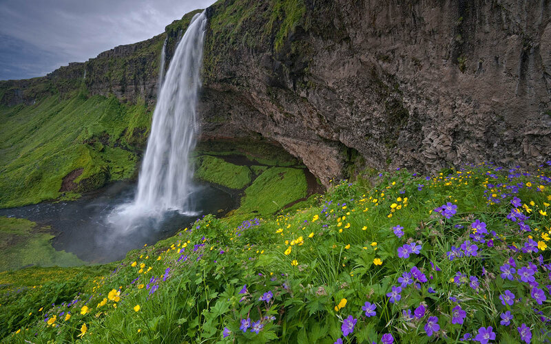 Waterfall with Wildflowers — Green, Serene, Spring, Photograph