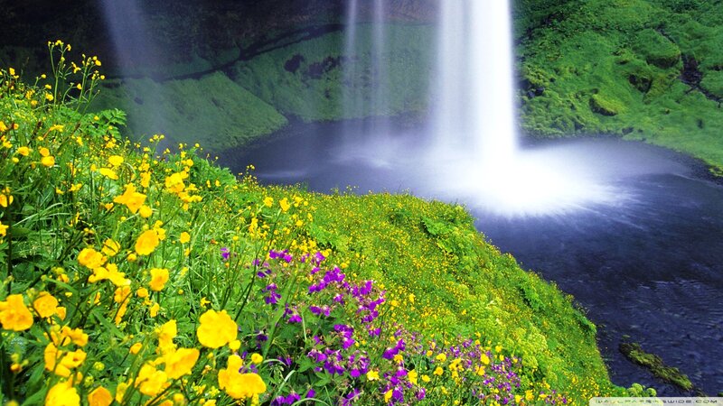 Waterfall with Wildflowers — Green, Serene, Spring