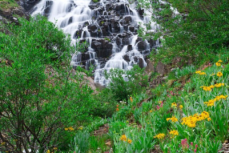 Waterfall with Wildflowers — Green, Serene, Summer