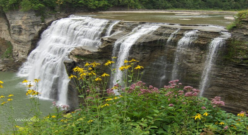 Waterfall with Wildflowers — Green, Serene