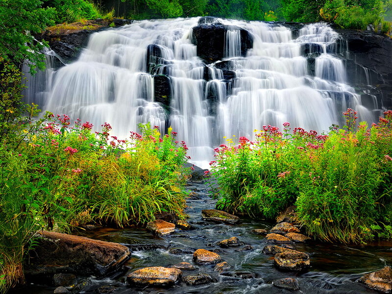 Waterfall with Wildflowers — Green