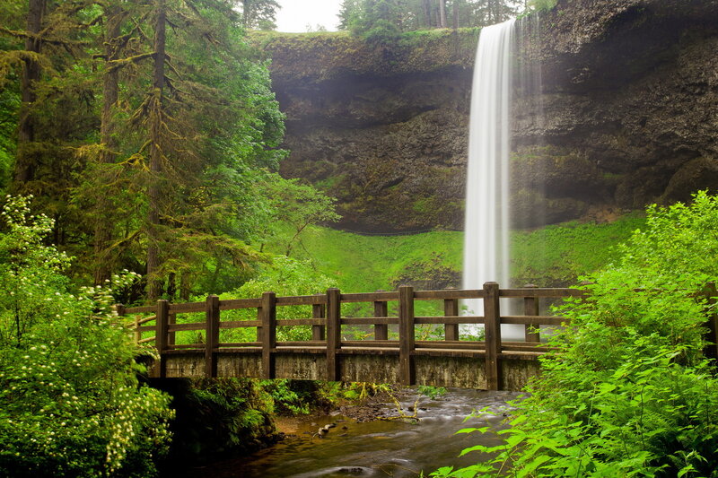 Waterfall with Wooden Bridge — Green