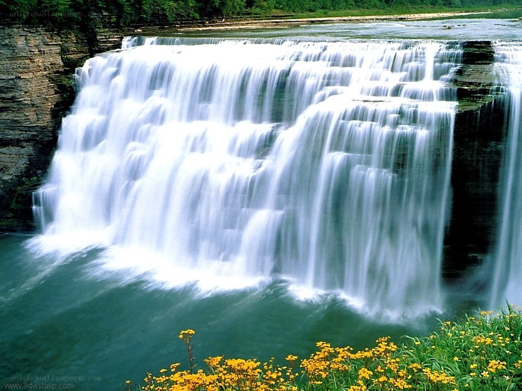 Waterfall with yellow flowers