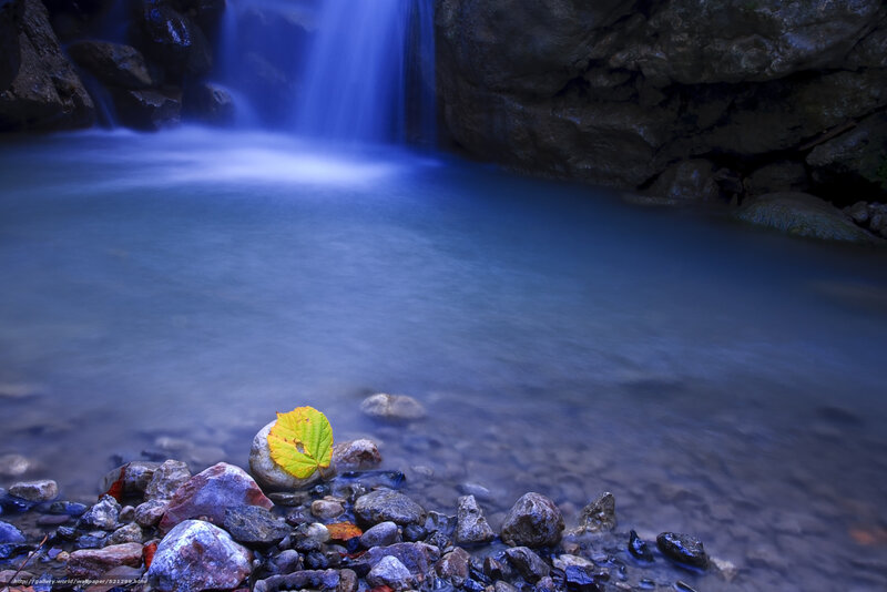Waterfall with yellow leaf