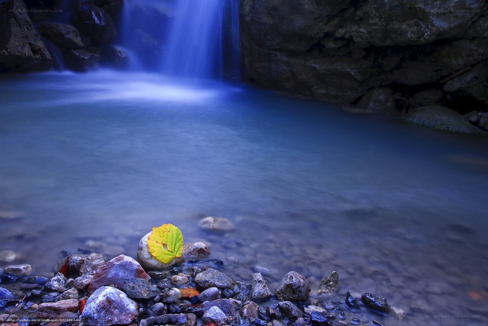 Waterfall with yellow leaf