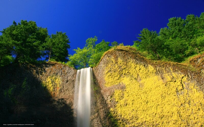 Waterfall with yellow moss