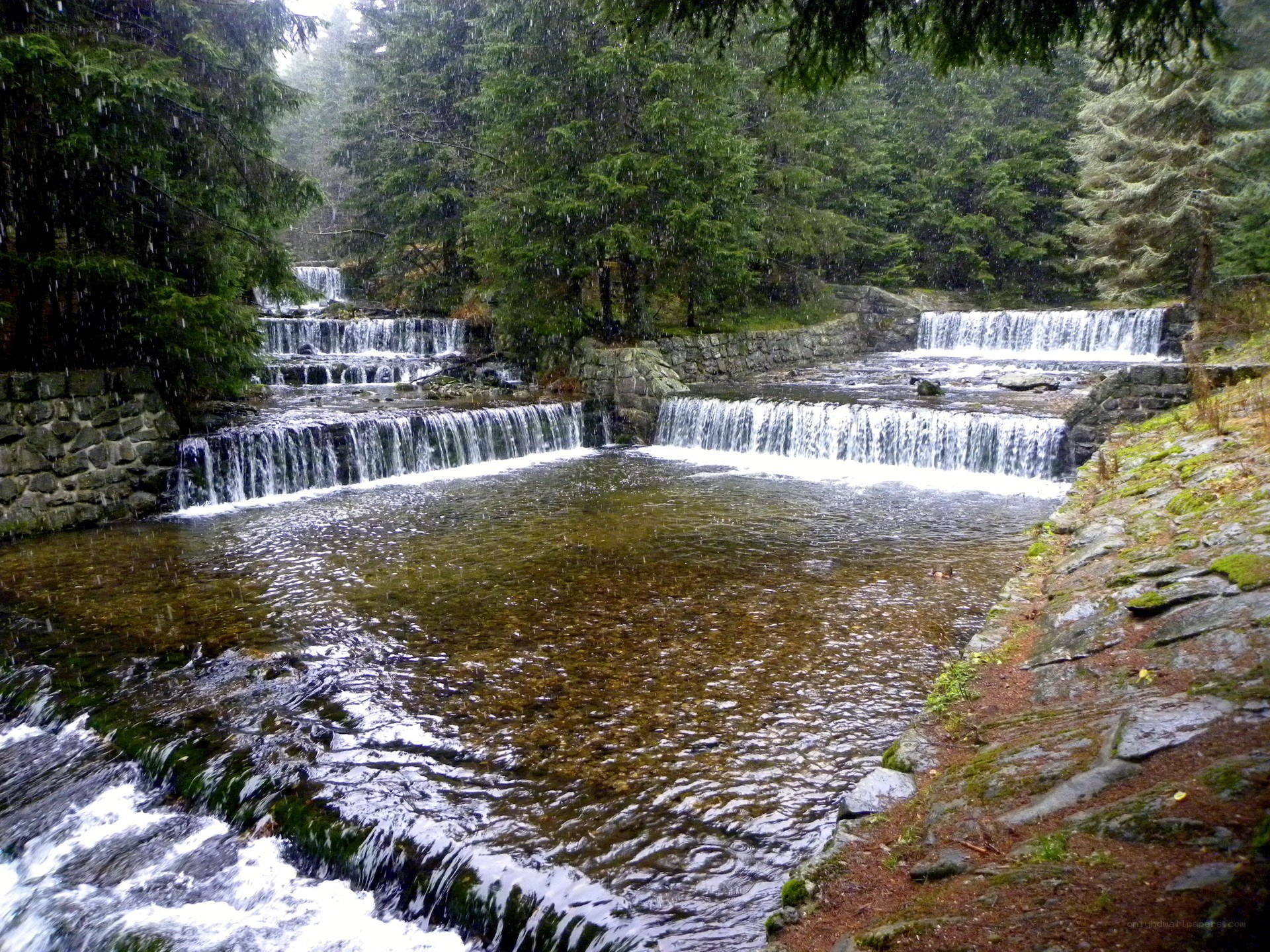 Waterfalls in a forest