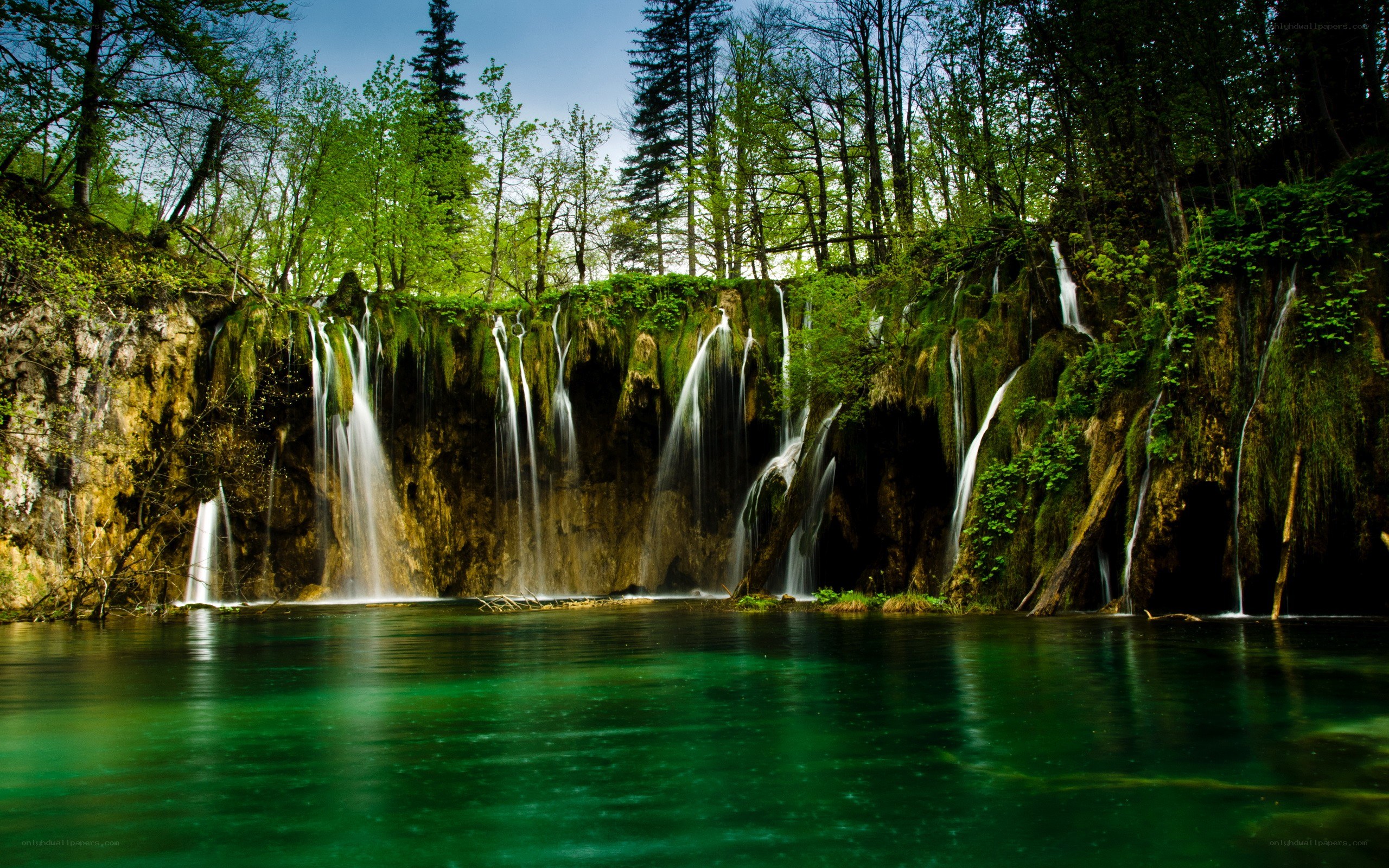 Waterfalls in a forest