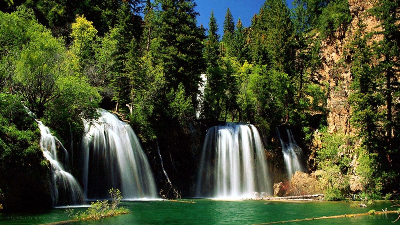Waterfalls in a forest