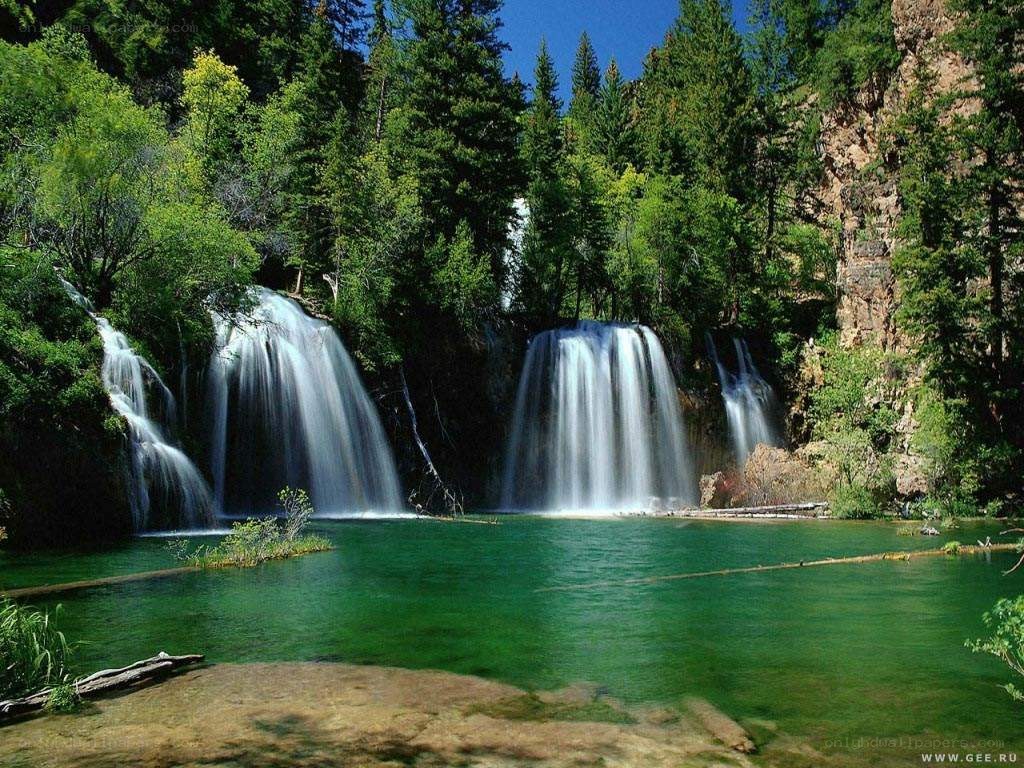 Waterfalls in a forest