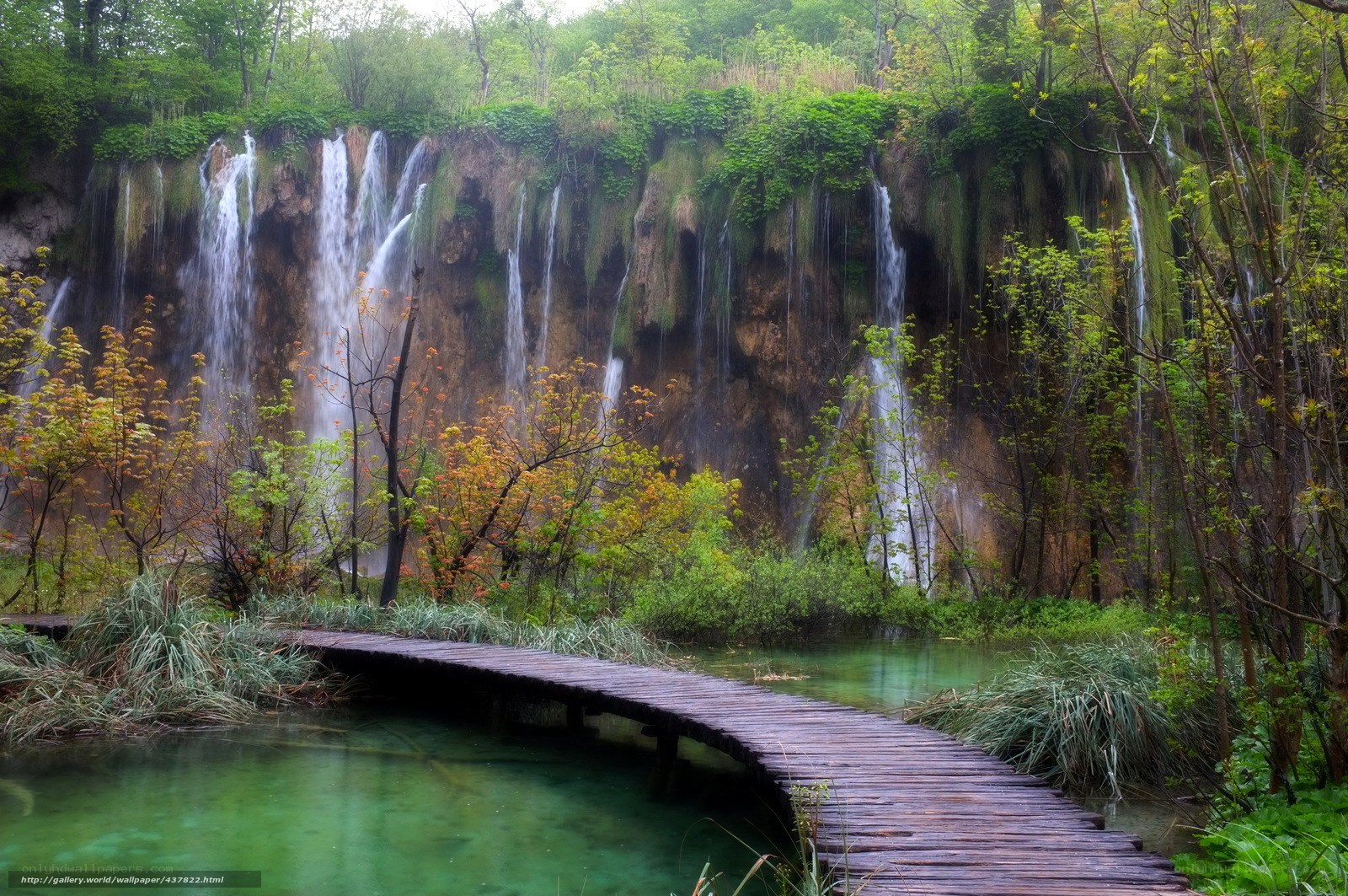 Waterfalls in a forest