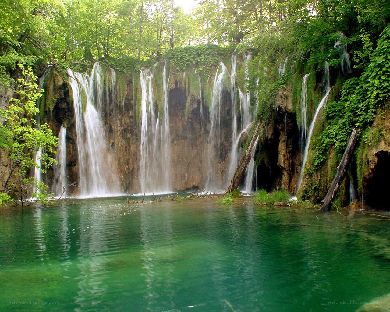 Waterfalls in a forest