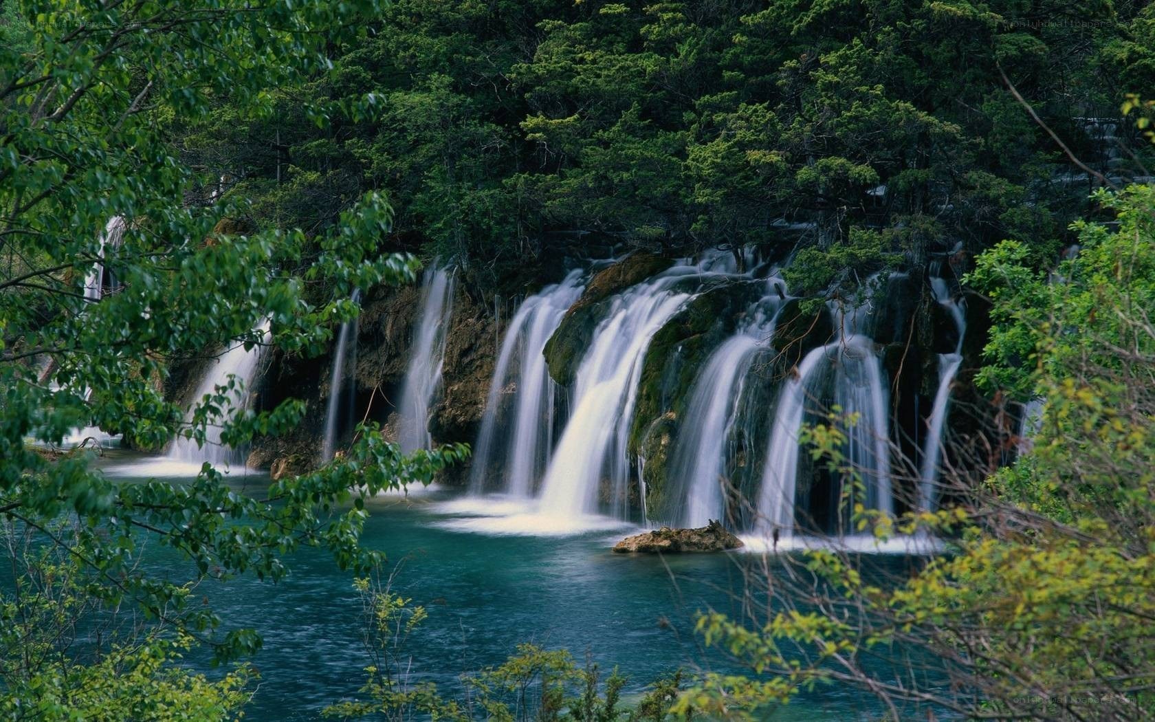 Waterfalls in a forest