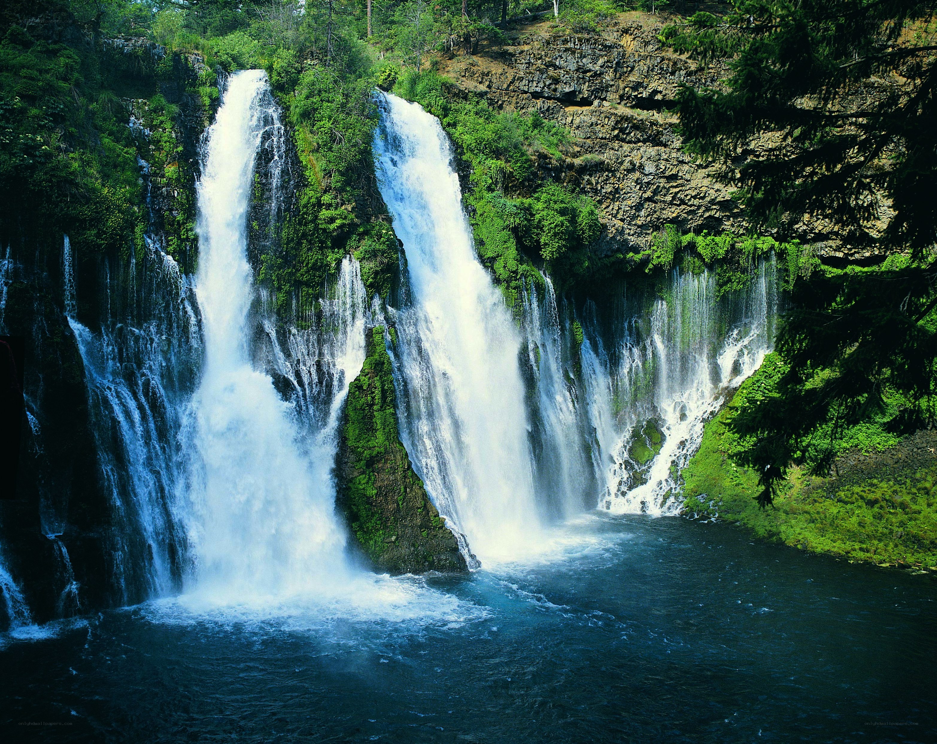 Waterfalls in a forest