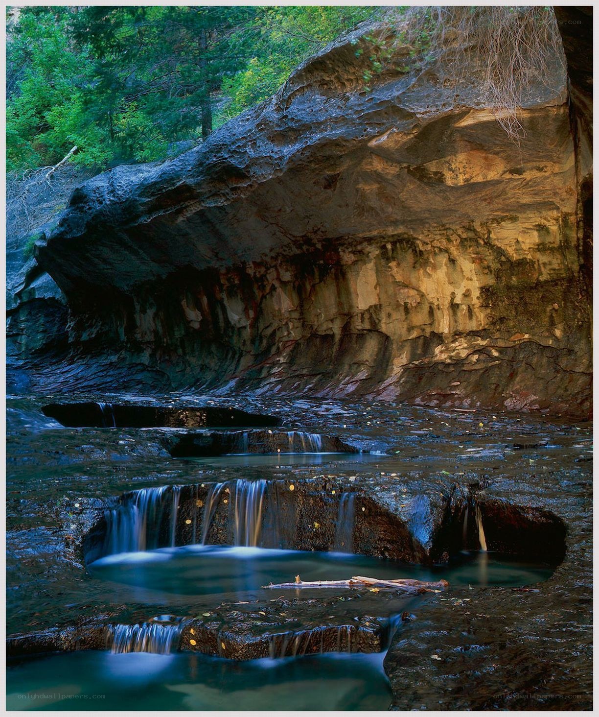 Waterfalls in a forest canyon