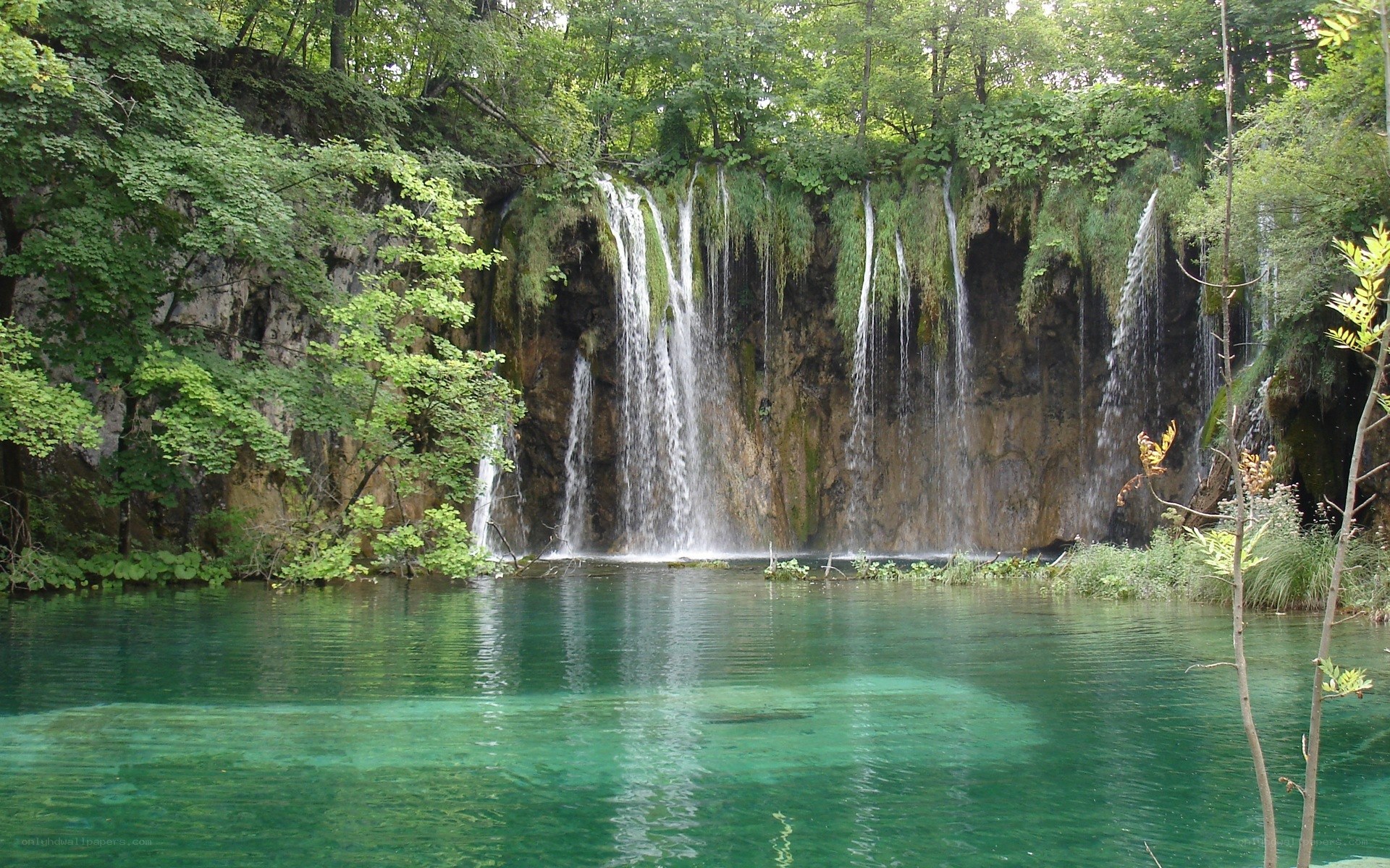 Waterfalls in a forest lake