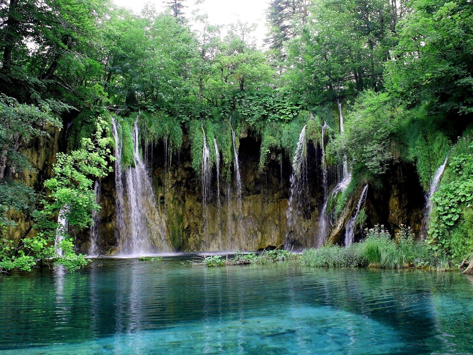 Waterfalls in a forest lake