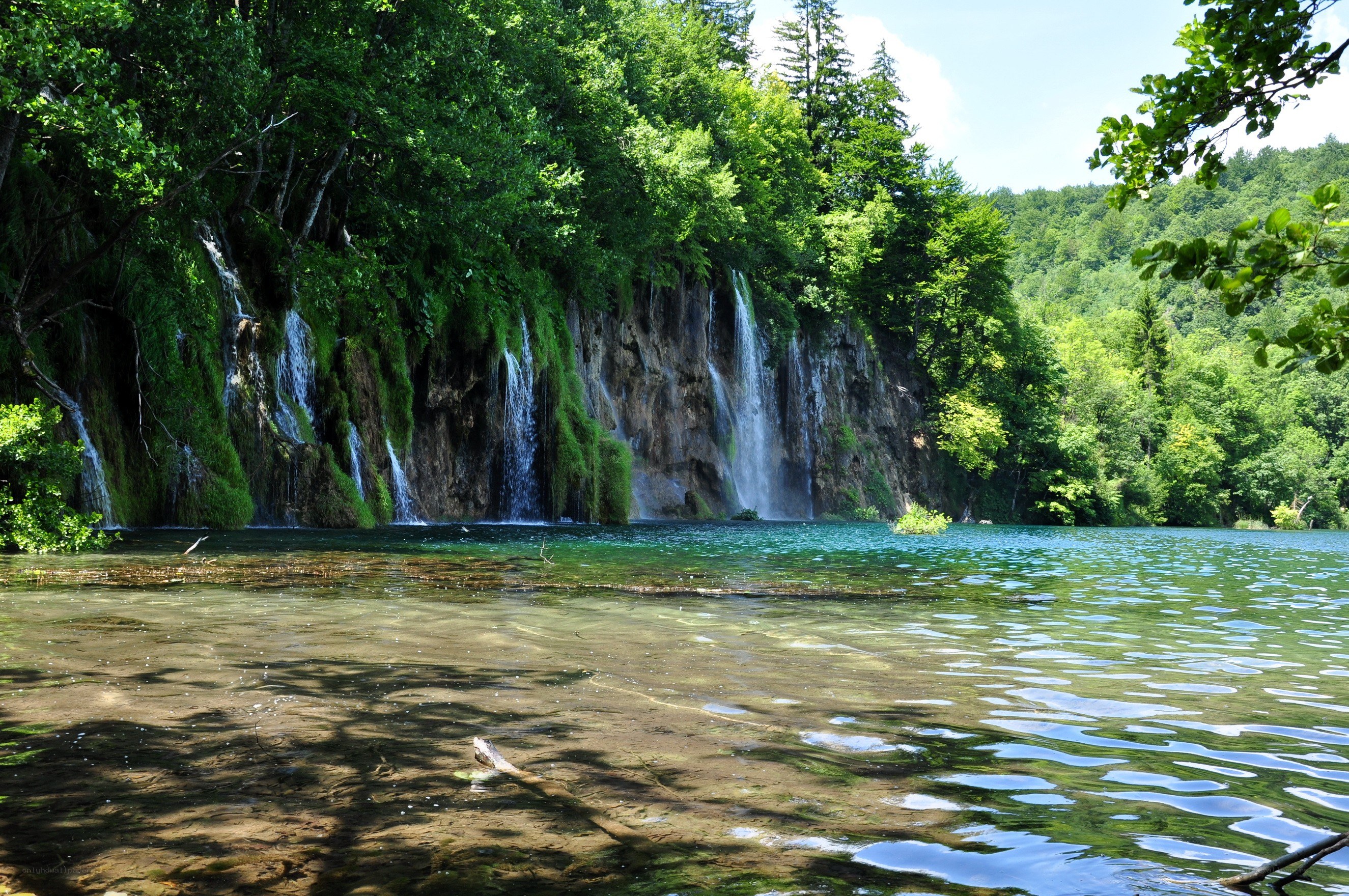 Waterfalls in a forest lake