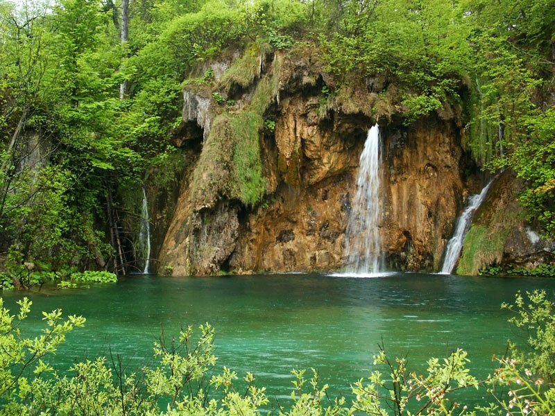 Waterfalls in a forest lake