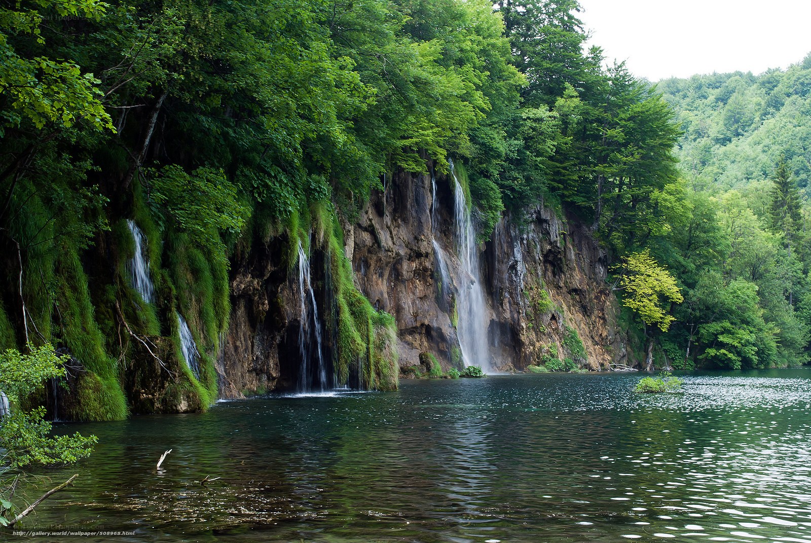 Waterfalls in a forest lake