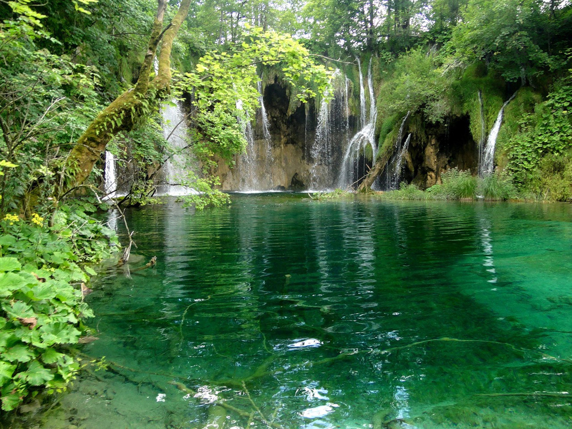 Waterfalls in a forest pond