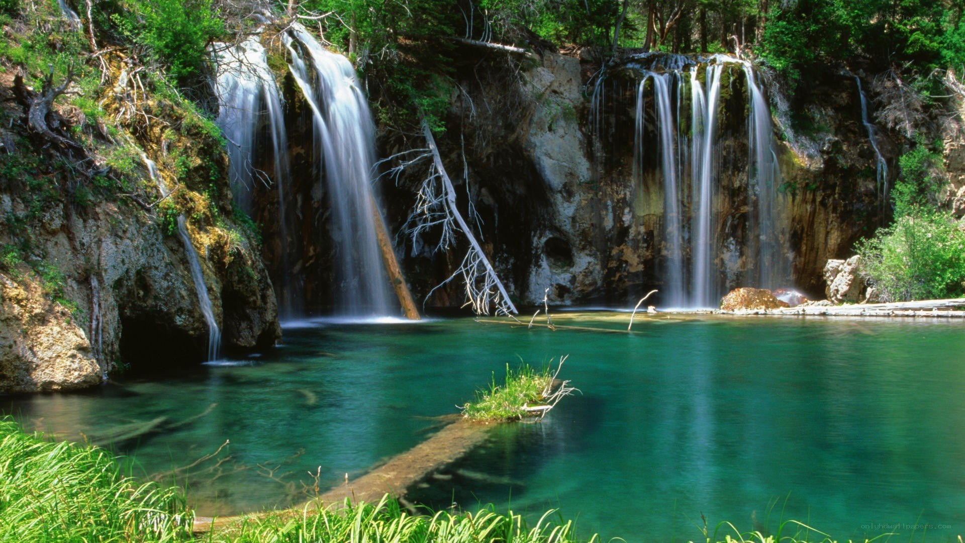 Waterfalls in a forest pool
