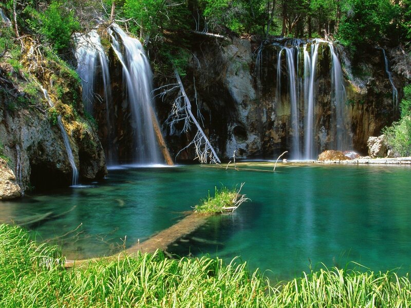Waterfalls in a forest pool