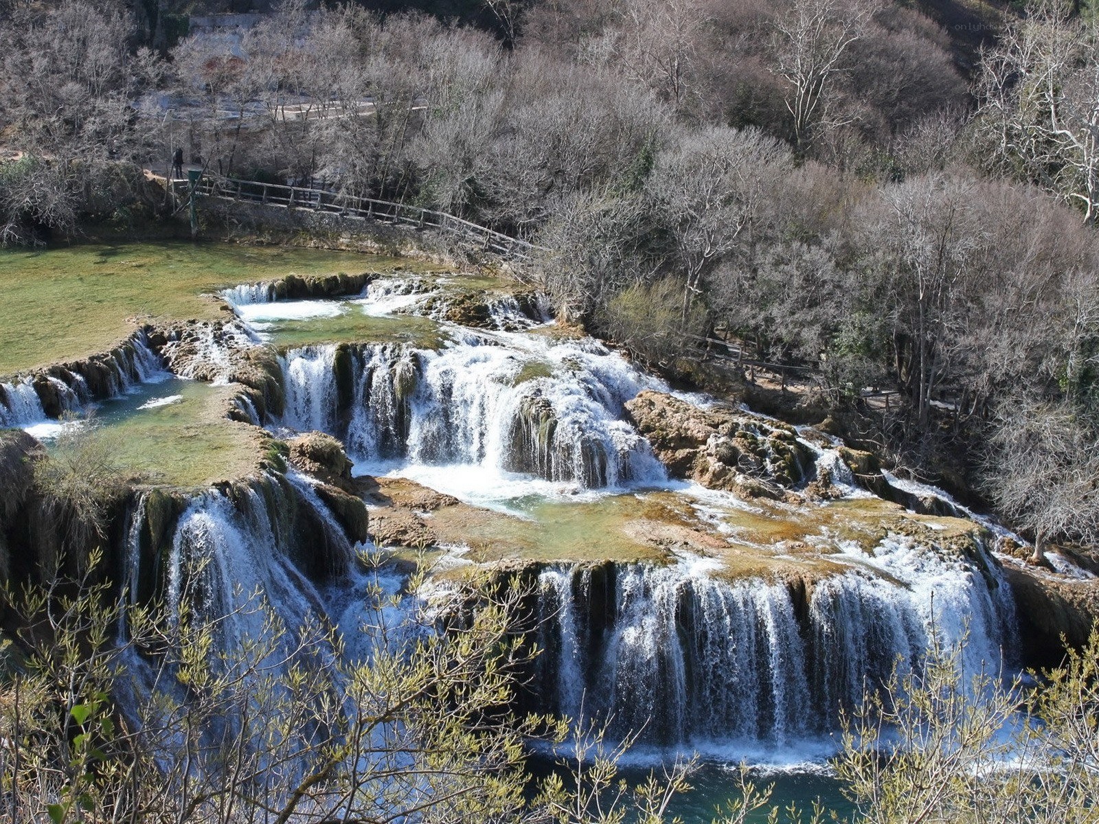Waterfalls in a forested area