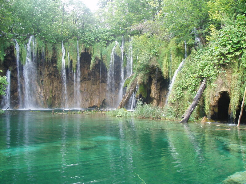 Waterfalls in a forested area