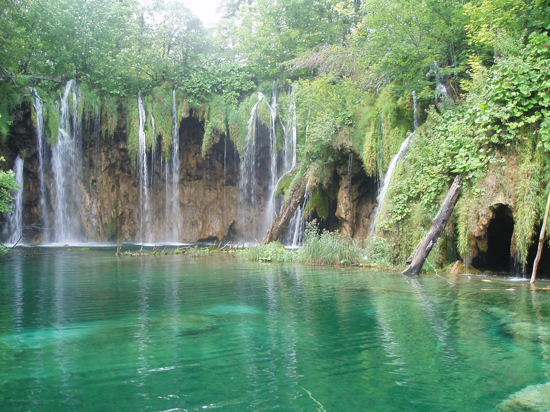 Waterfalls in a forested area
