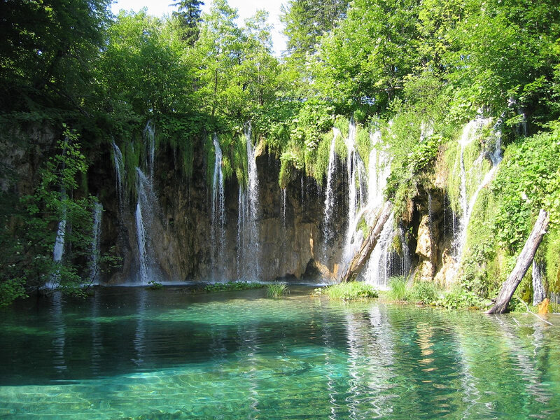 Waterfalls in a forested area