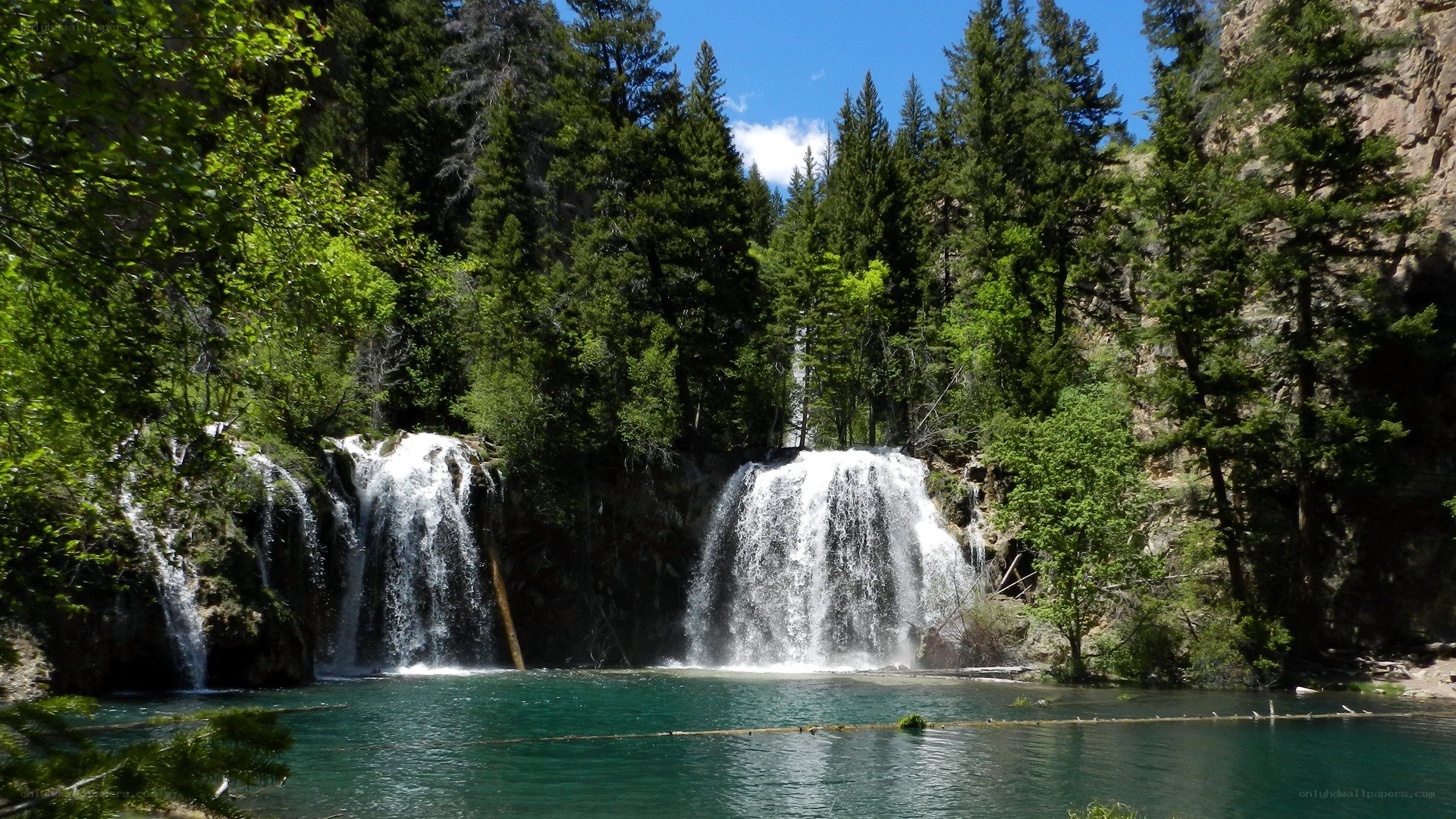 Waterfalls in a forested canyon
